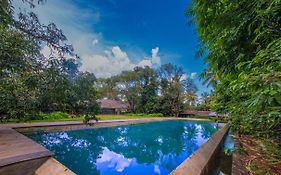 The Orchard Resort